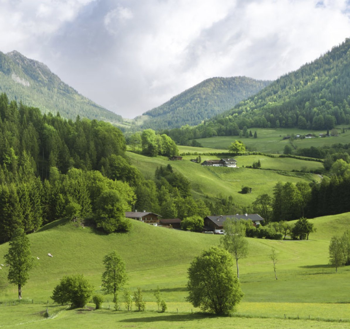 Collect your Shopping from Hotel or Shop